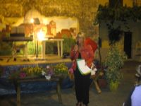 IMG_0130.jpg