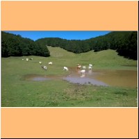 WP_20160804_10_50_20_Pro.jpg