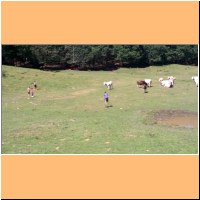 WP_20160804_11_03_27_Pro.jpg
