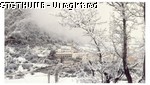 91,75 KB 
23/03/2005